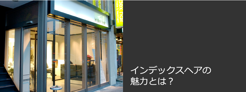 �C���f�b�N�X�w�A�̖��͂Ƃ́H